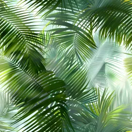 Jungle 273